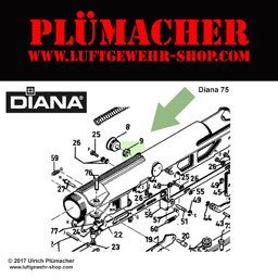 Zeige Details für Stirnrad für Diana Luftgewehre und Luftpistolen 60-66-72-75-6-6G-6M-10 Bild von Stirnrad für Diana Luftgewehre und Luftpistolen 60-66-72-75-6-6G-6M-10