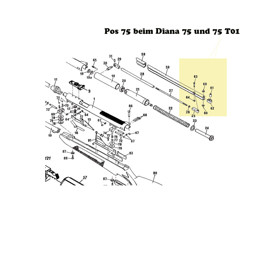 Zeige Details für Scheibe 0,5 für das Luftgewehr Diana 48-52-54-56th-75-75T01 Bild von Scheibe 0,5 für das Luftgewehr Diana 48-52-54-56th-75-75T01