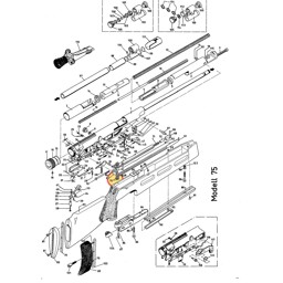 Zeige Details für Luftgewehr Diana Ersatzteil Scheibe 0,1 48-52-54-75-75T01-56TH - 30201400 Bild von Luftgewehr Diana Ersatzteil Scheibe 0,1 48-52-54-75-75T01-56TH - 30201400