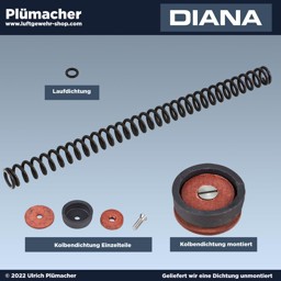 Reparatursatz Diana 35 - Servicekit mit Kolbenfeder Reparatursatz Diana 35 - Servicekit mit 7,5 J Feder für das Luftgewehr Diana 35