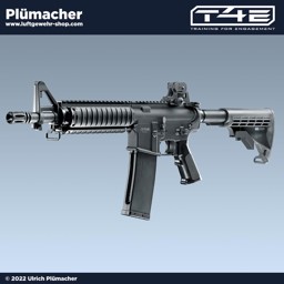 T4E TM4 RIS T4E TM4 RIS