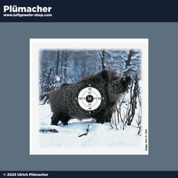 Luftgewehr Zielscheiben Keiler - Wildschwein Jagdmotiv Scheiben für Luftdruckwaffen Luftgewehr Zielscheiben Keiler - Wildschwein Jagdmotiv Scheiben für Luftdruckwaffen