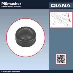 Abschlussdeckel Diana 25 Luftgewehr Abschlussdeckel Diana 25 Luftgewehr