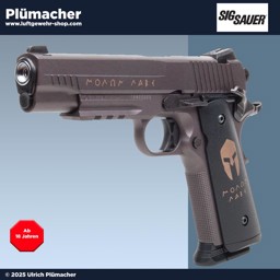 CO2 Pistole Sig Sauer 4,5 mm BB CO2 Pistole Sig Sauer 4,5 mm BB (Stahlrundkugeln)