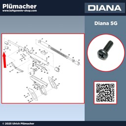 Kornschraube Diana 5 < 5G | 25 | 25D | 34 Premium Linsenschraube Diana 5G-5-25-25D-34 zur Befestigung des Korns