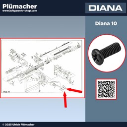 Luftpistole Diana 10 Griffschrauben Griffschraube für die Luftpistolen Diana 10 - Sie brauchen 2 dieser Schrauben