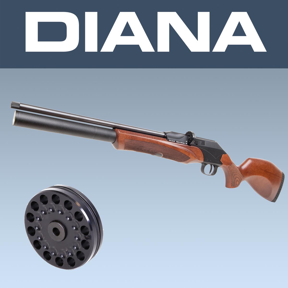 Bild von Diana P1000 Evo2 Pressluftgewehr 4,5 mm Diabolo