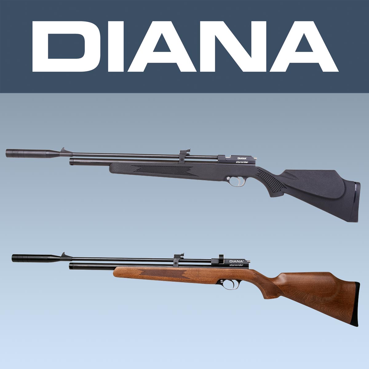 Bild für Kategorie Diana Stormrider Pressluftgewehr