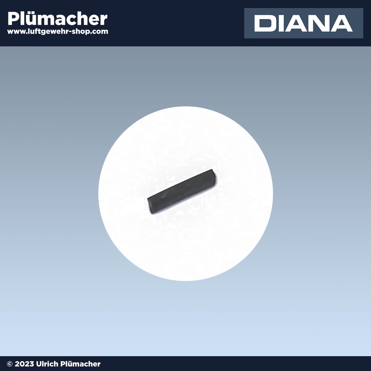 Achsenschraubensicherung Diana 6-60-65-66-75-75T01