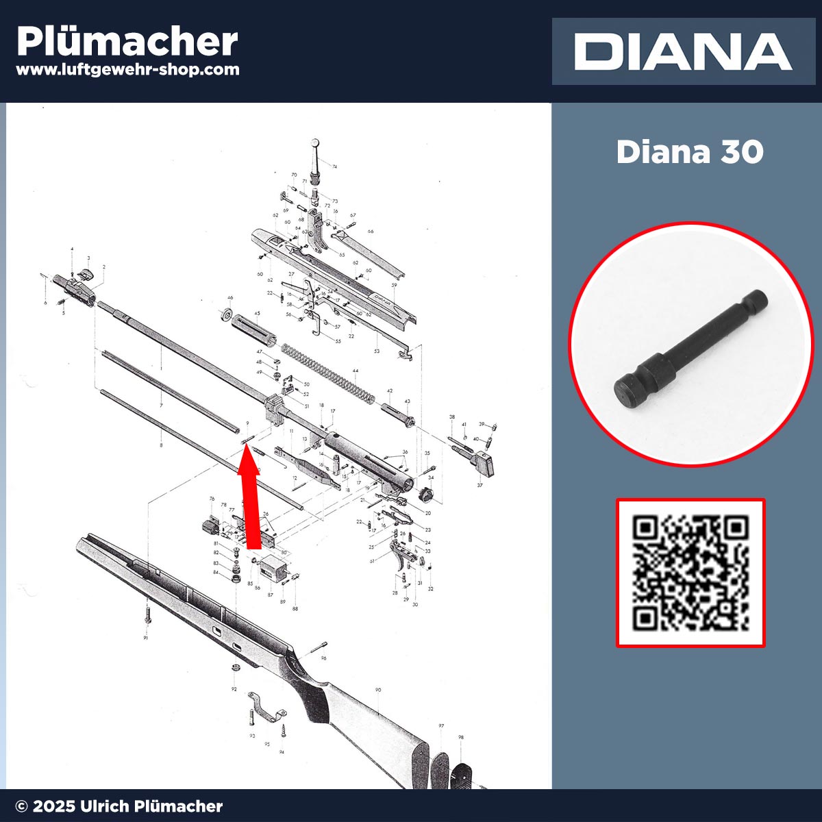 Original Schafthaltestift (Haltebolzen aus Stahl) für das Diana 30 Luftgewehr, Pos. 9 auf der Explosionszeichnung – Ersatzteil zur Reparatur, Wartung und Instandsetzung.