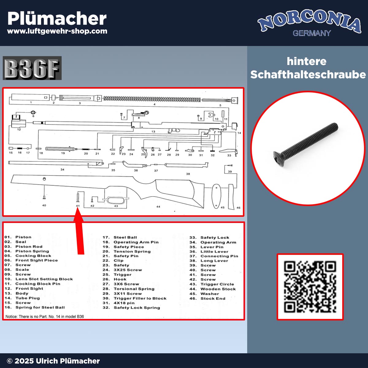 Hintere Schaftschraube (Pos. 41) für das Norconia B36 Luftgewehr. Verbindungsschraube zwischen Schaft und Zylinder, eine von zwei Schrauben zur Fixierung des Abzugsbügels.
