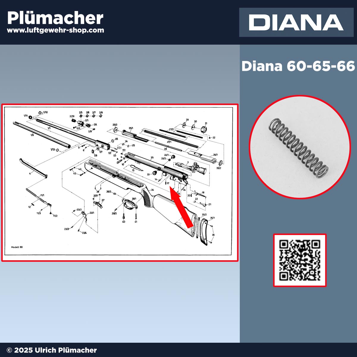 Druckfeder für vorderen Haken der Diana Luftgewehre 60, 65, 66