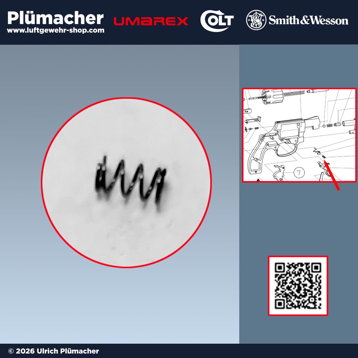 Trommelrast-Feder für Schreckschussrevolver Smith & Wesson Chief Special, Umarex Mod. 36 und Colt Detective Special – Ersatzteil für die Trommelarretierung