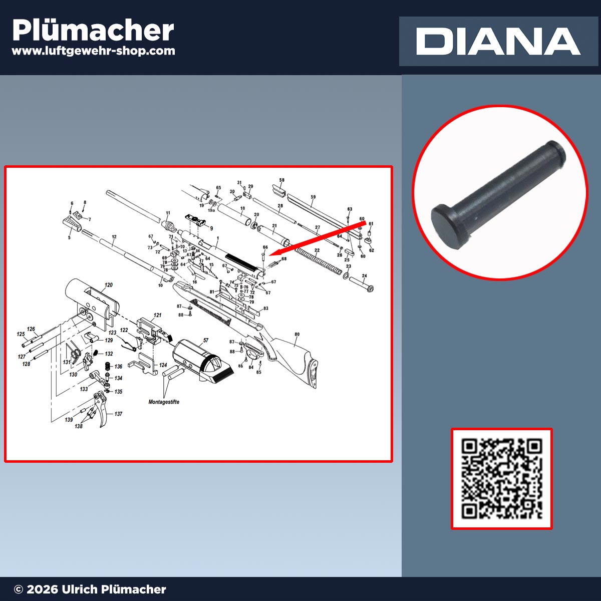 Spannhebel Bolzen Pos. 66 zur Fixierung des Spannhebels für Diana 48, 52, 54 sowie 38 T05, 52 T05 und 54 T05