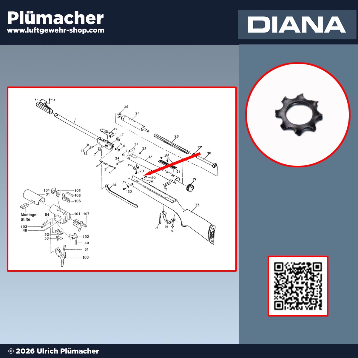 Zahnscheibe A 5,3 als Unterlegscheibe für die seitlichen Schaftbefestigungsschrauben bei Diana Luftgewehren